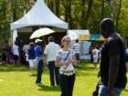 voetbalfestival180_small.jpg